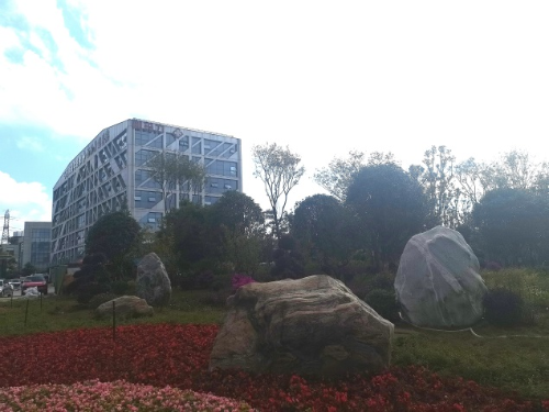 图片 5